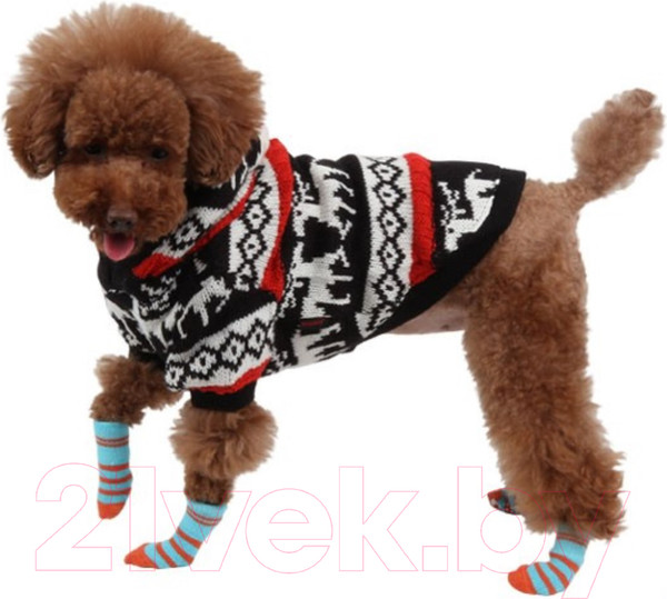 Изображение товара Носочки для животных Puppia Nitty-Gritty / PAND-SO1176-AQ-L (голубые с красными полосками)