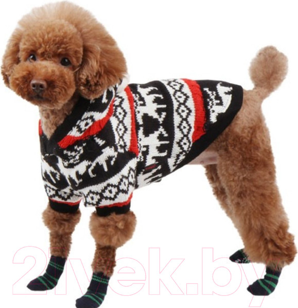 Изображение товара Носочки для животных Puppia Nitty-Gritty / PAND-SO1176-NY-M (синие с зелеными полосками)