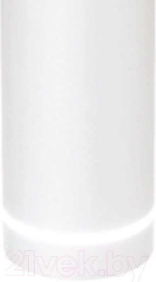 Изображение товара Потолочный светильник Ambrella TN289 SWH (белый песок)