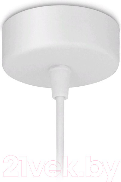 Изображение товара Потолочный светильник Ambrella TN289 SWH (белый песок)
