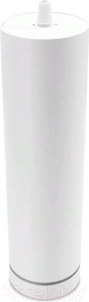 Изображение товара Потолочный светильник Ambrella TN289 SWH (белый песок)