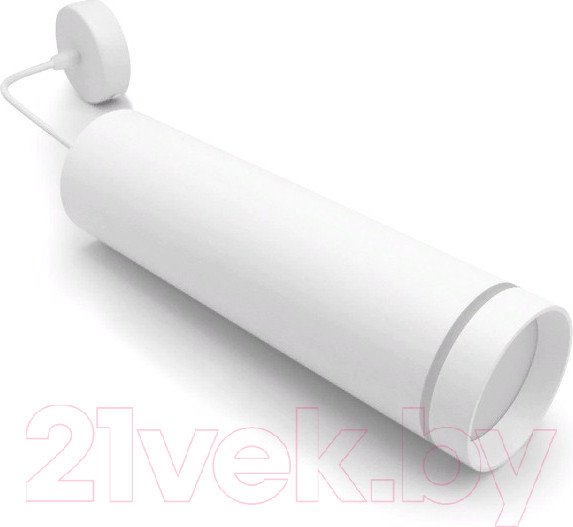 Изображение товара Потолочный светильник Ambrella TN289 SWH (белый песок)