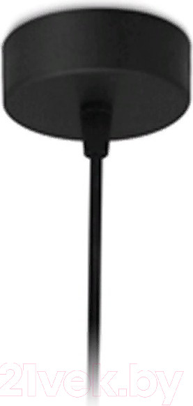 Изображение товара Потолочный светильник Ambrella TN290 SBK (черный песок)