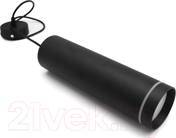 Изображение товара Потолочный светильник Ambrella TN290 SBK (черный песок)