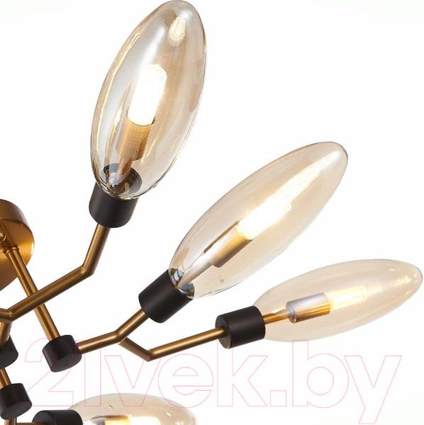 Изображение товара Люстра ST Luce Desima SL1174.302.08