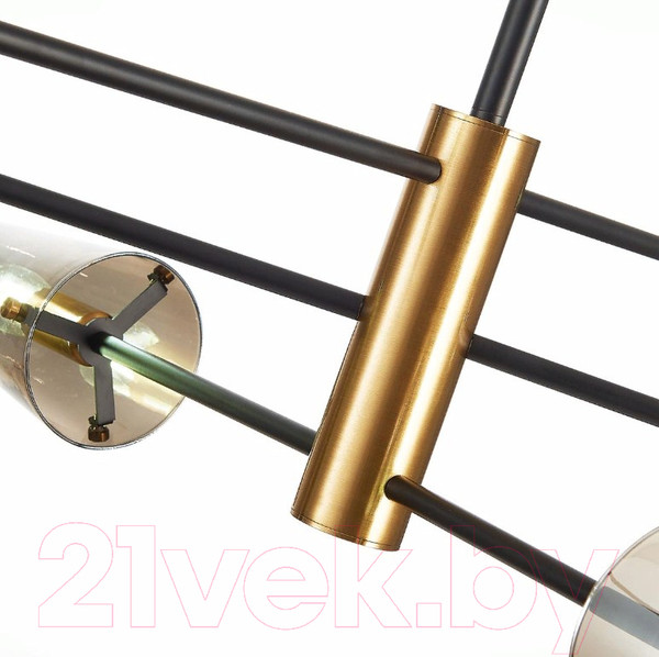 Изображение товара Люстра ST Luce Morave SL1209.302.06