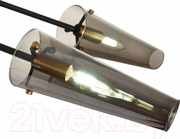 Изображение товара Люстра ST Luce Morave SL1209.302.06