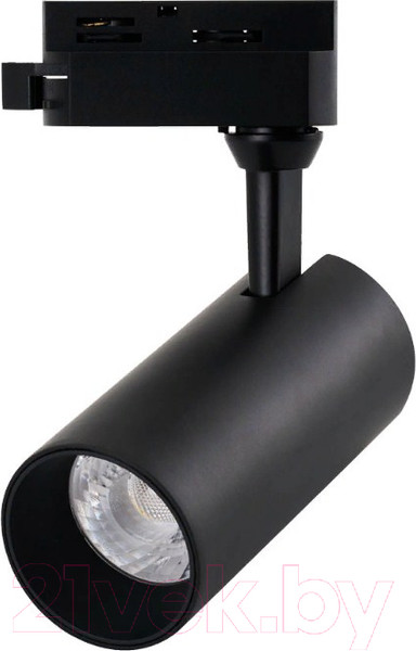 Изображение товара Трековый светильник Arte Lamp Regulus A4568PL-1BK
