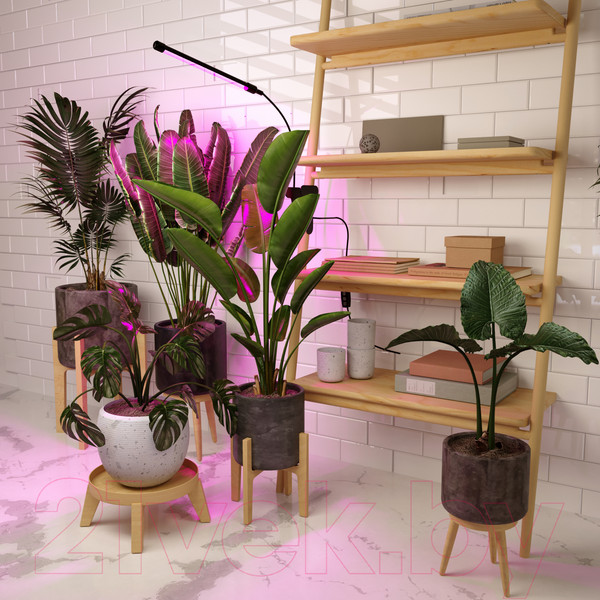 Изображение товара Светильник для растений Elektrostandard FT-004 (черный)