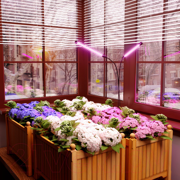 Изображение товара Светильник для растений Elektrostandard FT-005 (черный)