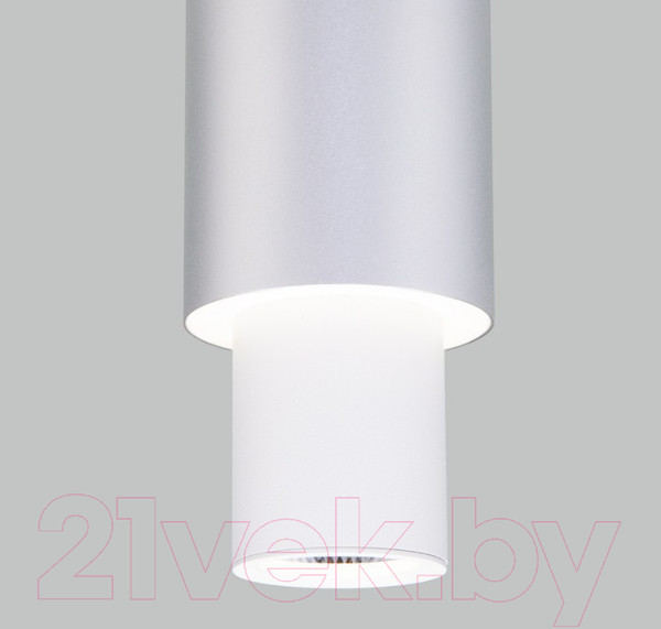 Изображение товара Потолочный светильник Евросвет 50204/1 LED (белый/матовое серебро)