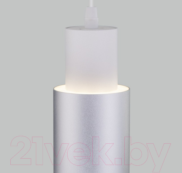 Изображение товара Потолочный светильник Евросвет 50204/1 LED (белый/матовое серебро)