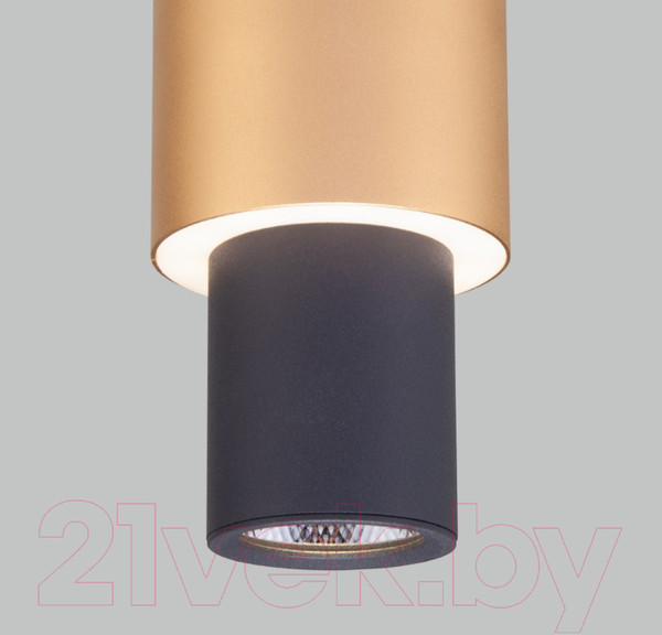 Изображение товара Потолочный светильник Евросвет 50204/1 LED (черный/матовое золото)
