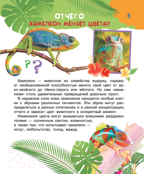 Изображение товара Энциклопедия АСТ Почему, зачем и как? (Бобков П.В., Малов В.И.)
