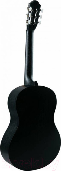 Изображение товара Акустическая гитара Flight C-100 BK 4/4