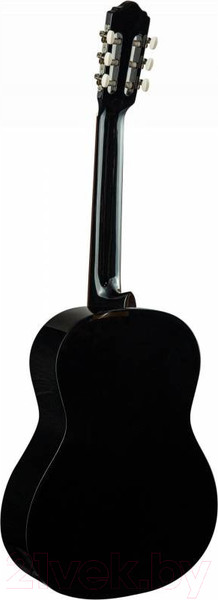 Изображение товара Акустическая гитара Flight C-120 BK 4/4
