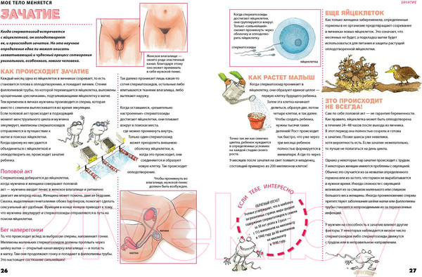 Изображение товара Книга CLEVER Мое тело меняется (Бэйли Д.)