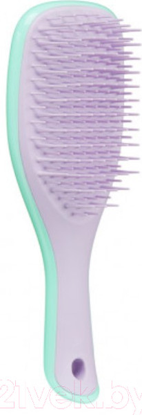 Изображение товара Расческа-массажер Tangle Teezer The Wet Detangler Mini Wisteria Leaf