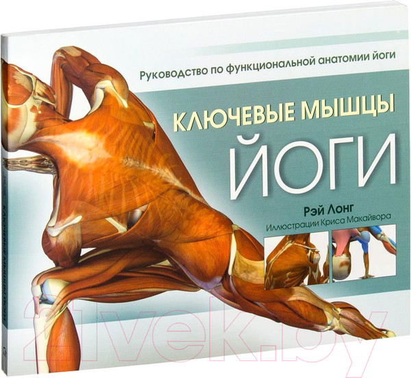 Изображение товара Книга Попурри Ключевые мышцы йоги (Лонг Р.)