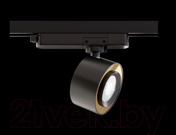 Изображение товара Трековый светильник Maytoni TR023-1-12B4K