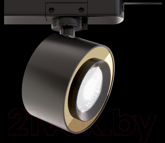 Изображение товара Трековый светильник Maytoni TR023-1-12B4K