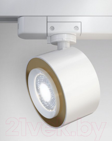 Изображение товара Трековый светильник Maytoni TR023-1-12W3K