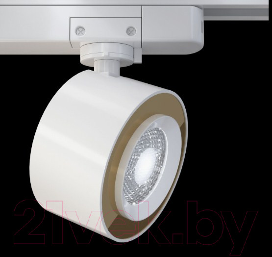 Изображение товара Трековый светильник Maytoni TR023-1-12W4K