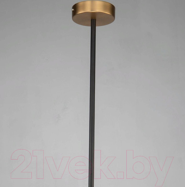 Изображение товара Потолочный светильник FAVOURITE Roshe 2624-1P