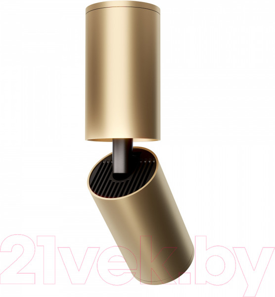 Изображение товара Спот Maytoni Focus S C051CL-01G