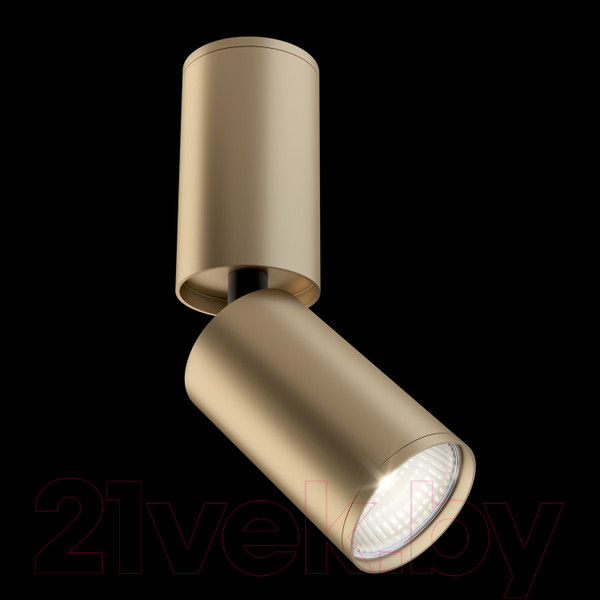 Изображение товара Спот Maytoni Focus S C051CL-01G