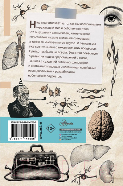 Изображение товара Книга АСТ Мозг. От древних мифов к нейробиологии (Руни Э.)