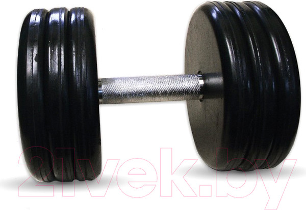 Изображение товара Гантель MB Barbell Классик (30кг, хром)