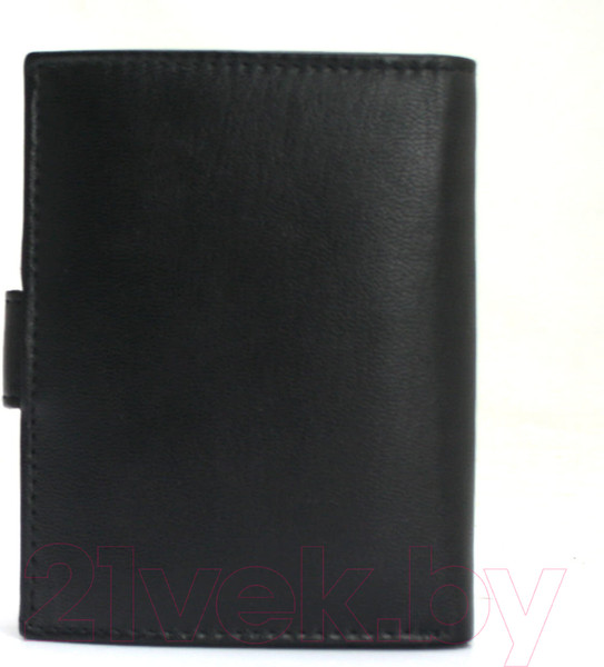 Изображение товара Портмоне Sanchez Casual AM-102R-123A