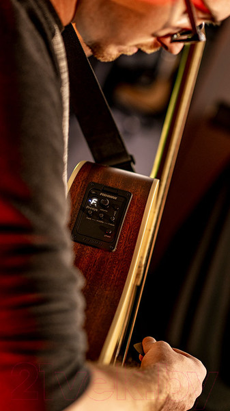 Изображение товара Электроакустическая гитара Cort MR 710F NS