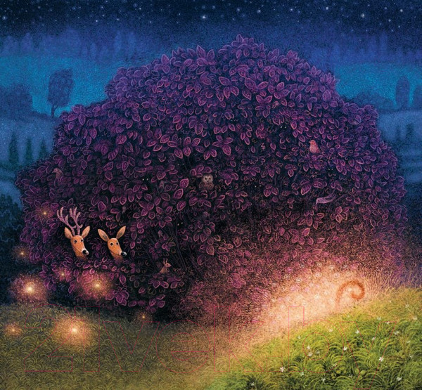 Изображение товара Книга Попурри Звёздочка (Минор М., Вехтерович П.)