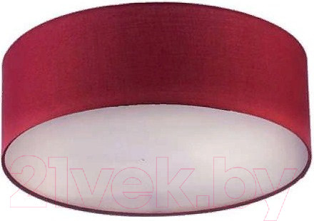 Изображение товара Потолочный светильник Aitin-Pro НПБ K110/2A (красный)