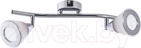 Изображение товара Спот Aitin-Pro НПБ 640SA/2 (титан/белый)