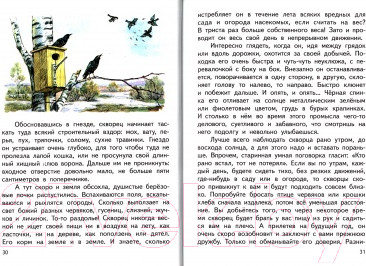 Изображение товара Книга Русич Литературное чтение. Живое слово. 4 класс (Романовская З.И.)