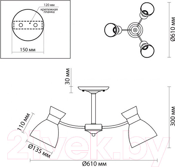 Изображение товара Люстра Lumion Wilma 4534/3C