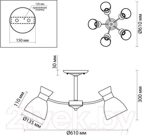 Изображение товара Люстра Lumion Wilma 4534/5C