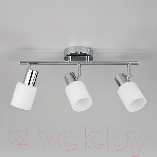 Изображение товара Спот Евросвет 20089/3 (хром)