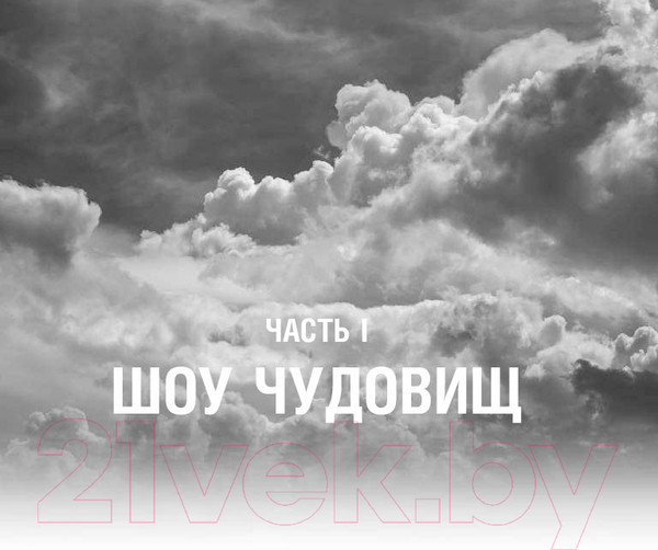 Изображение товара Художественная книга АСТ Зверь (Конди Э., Райх Б.)