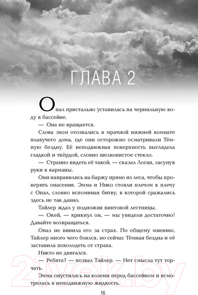Изображение товара Художественная книга АСТ Зверь (Конди Э., Райх Б.)