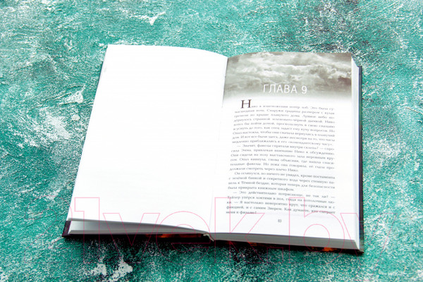 Изображение товара Художественная книга АСТ Зверь (Конди Э., Райх Б.)