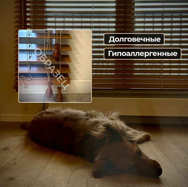 Изображение товара Жалюзи горизонтальные АС МАРТ 50К-37 78x200 (мореный дуб)