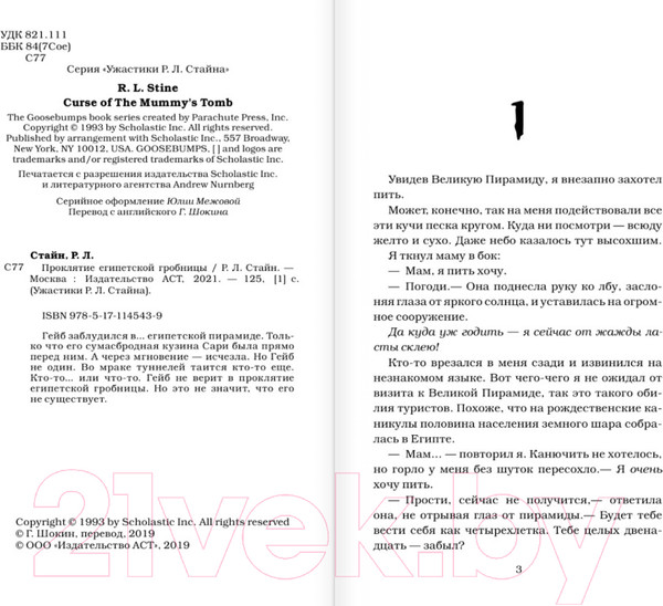 Изображение товара Книга АСТ Проклятие египетской гробницы (Стайн Р.Л.)