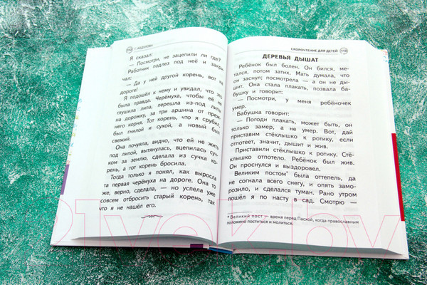 Изображение товара Книга АСТ Большая книга подготовки к школе (Абдулова Г., Шевелев К.В.)