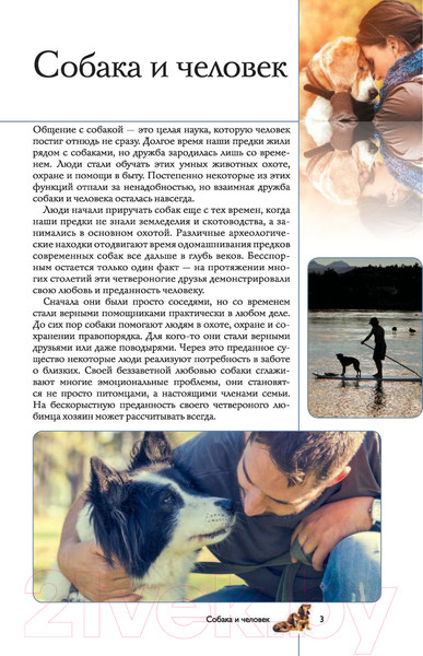 Изображение товара Книга АСТ Собаки. Популярный иллюстрированный гид (Барановская И.)
