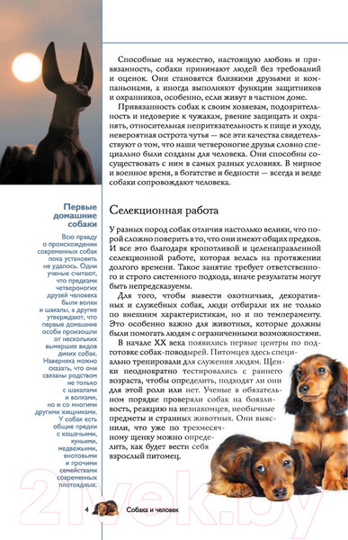 Изображение товара Книга АСТ Собаки. Популярный иллюстрированный гид (Барановская И.)