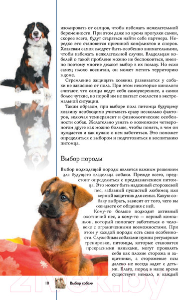 Изображение товара Книга АСТ Собаки. Популярный иллюстрированный гид (Барановская И.)